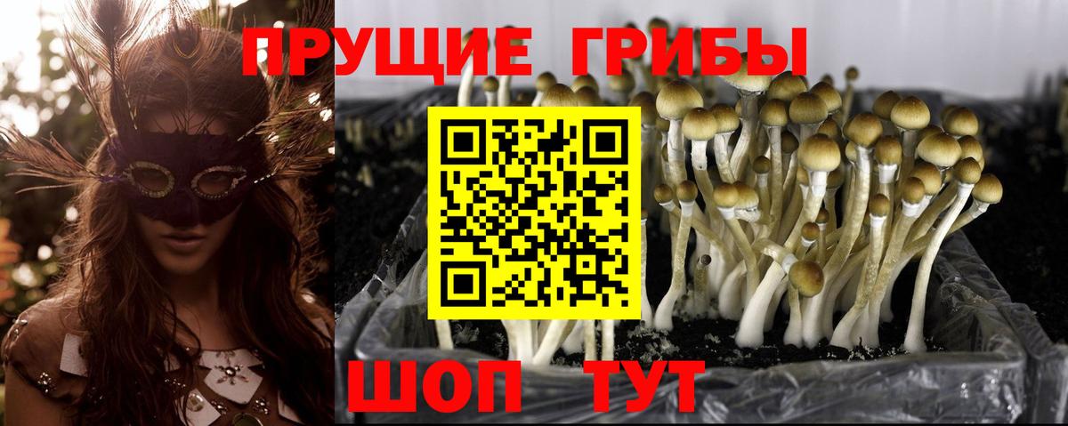 Псилоцибиновые грибы Magic Shrooms  Вход с VPN  Добрянка 